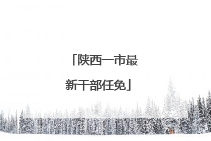陕西一市最新干部任免