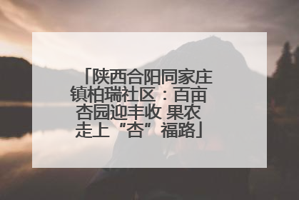 陕西合阳同家庄镇柏瑞社区：百亩杏园迎丰收 果农走上“杏”福路