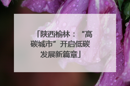 陕西榆林：“高碳城市”开启低碳发展新篇章