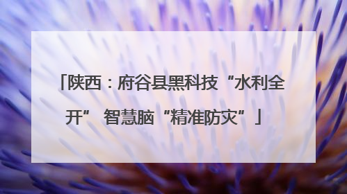 陕西：府谷县黑科技“水利全开” 智慧脑“精准防灾”