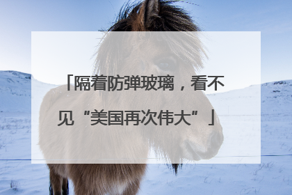 隔着防弹玻璃，看不见“美国再次伟大”