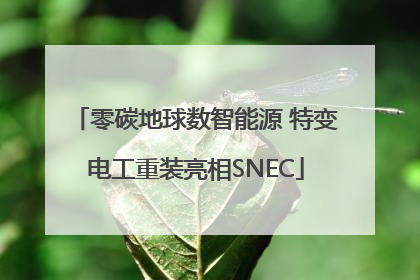 零碳地球数智能源 特变电工重装亮相SNEC
