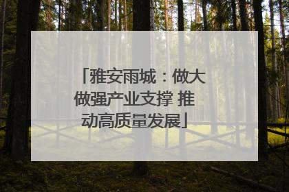 雅安雨城：做大做强产业支撑 推动高质量发展