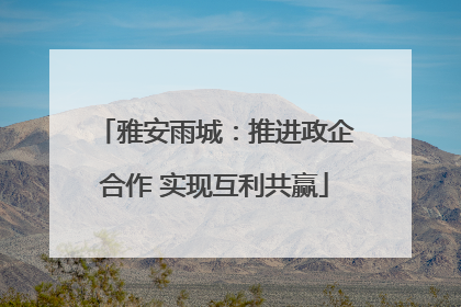 雅安雨城：推进政企合作 实现互利共赢