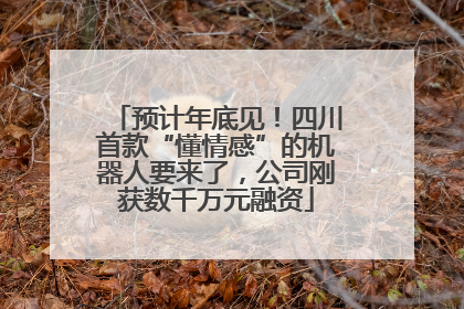 预计年底见!四川首款“懂情感”的机器人要来了,公司刚获数千万元融资