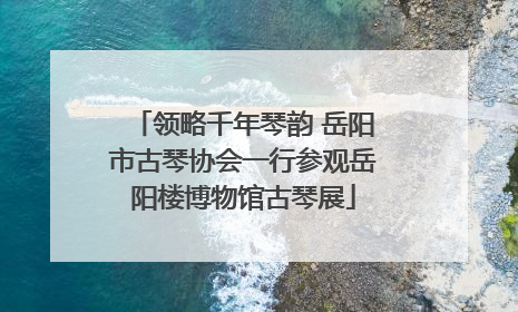 领略千年琴韵 岳阳市古琴协会一行参观岳阳楼博物馆古琴展