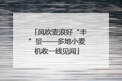 风吹麦浪好“丰”景——多地小麦机收一线见闻