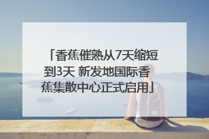 香蕉催熟从7天缩短到3天 新发地国际香蕉集散中心正式启用