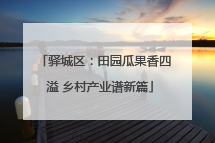 驿城区：田园瓜果香四溢 乡村产业谱新篇
