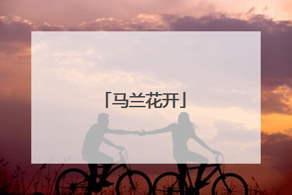 马兰花开