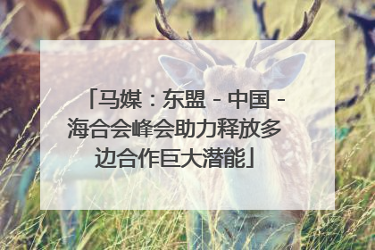 马媒：东盟－中国－海合会峰会助力释放多边合作巨大潜能
