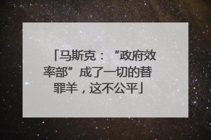 马斯克：“政府效率部”成了一切的替罪羊，这不公平