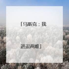 马斯克：我进退两难