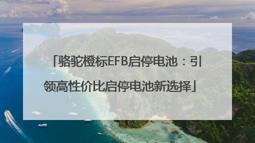 骆驼橙标EFB启停电池：引领高性价比启停电池新选择