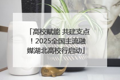 高校赋能 共建支点！2025全国主流融媒湖北高校行启动