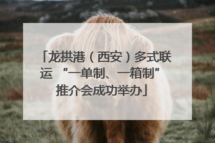 龙拱港（西安）多式联运 “一单制、一箱制” 推介会成功举办