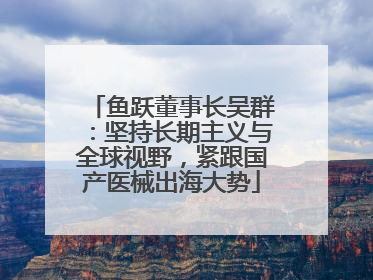 鱼跃董事长吴群：坚持长期主义与全球视野，紧跟国产医械出海大势
