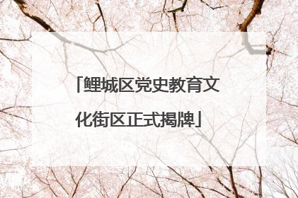 鲤城区党史教育文化街区正式揭牌