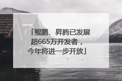 鲲鹏、昇腾已发展超665万开发者，今年将进一步开放