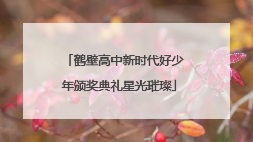 鹤壁高中新时代好少年颁奖典礼星光璀璨