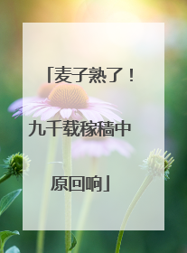 麦子熟了！九千载稼穑中原回响