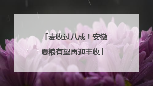 麦收过八成！安徽夏粮有望再迎丰收