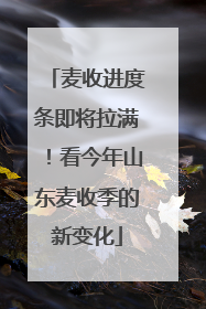 麦收进度条即将拉满！看今年山东麦收季的新变化
