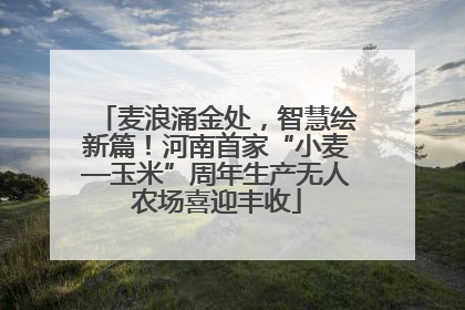 麦浪涌金处，智慧绘新篇！河南首家“小麦—玉米”周年生产无人农场喜迎丰收