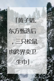 黄子韬、东方甄选后，三只松鼠也跨界卖卫生巾