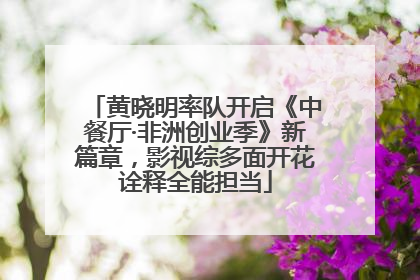 黄晓明率队开启《中餐厅·非洲创业季》新篇章，影视综多面开花诠释全能担当
