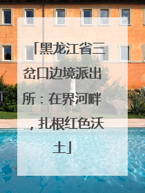 黑龙江省三岔口边境派出所：在界河畔，扎根红色沃土