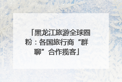 黑龙江旅游全球圈粉：各国旅行商“群聊”合作揽客
