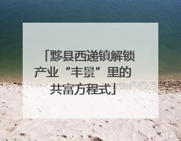 黟县西递镇解锁产业“丰景”里的共富方程式
