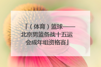 （体育）篮球——北京男篮备战十五运会成年组资格赛