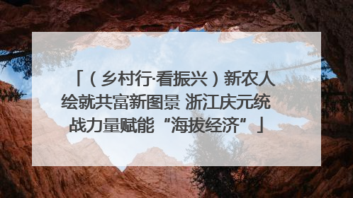 （乡村行·看振兴）新农人绘就共富新图景 浙江庆元统战力量赋能“海拔经济”