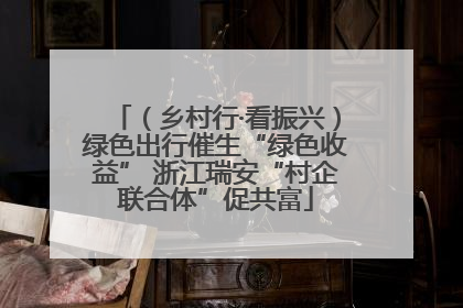 （乡村行·看振兴）绿色出行催生“绿色收益” 浙江瑞安“村企联合体”促共富