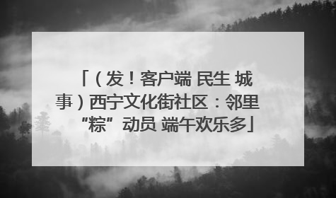 （发！客户端 民生 城事）西宁文化街社区：邻里“粽”动员 端午欢乐多