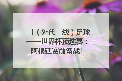 （外代二线）足球——世界杯预选赛：阿根廷赛前备战
