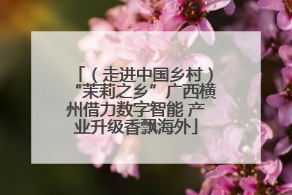 （走进中国乡村）“茉莉之乡”广西横州借力数字智能 产业升级香飘海外