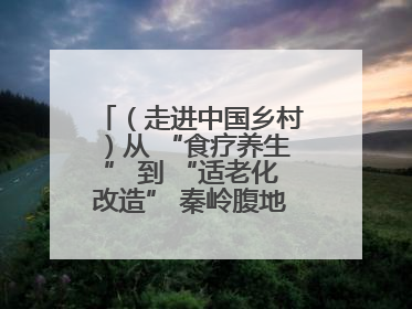 （走进中国乡村）从 “食疗养生” 到 “适老化改造” 秦岭腹地成康养“福地”