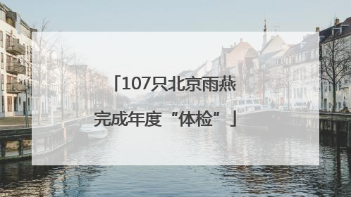 107只北京雨燕完成年度“体检”