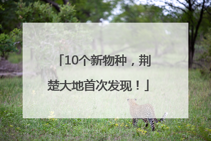 10个新物种，荆楚大地首次发现！