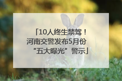 10人终生禁驾！河南交警发布5月份“五大曝光”警示