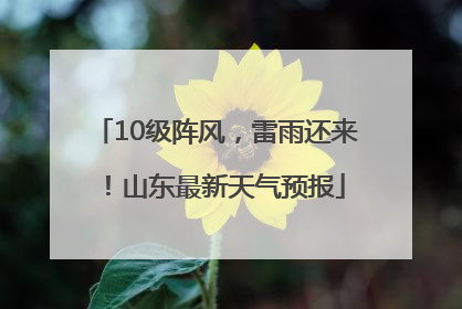 10级阵风，雷雨还来！山东最新天气预报