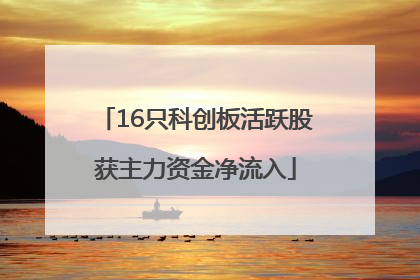 16只科创板活跃股获主力资金净流入