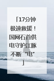 17分钟极速救援！国网石首供电守护江豚不断“电”