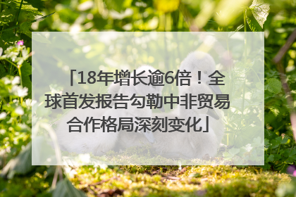 18年增长逾6倍！全球首发报告勾勒中非贸易合作格局深刻变化