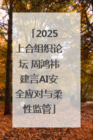 2025上合组织论坛 周鸿祎建言AI安全应对与柔性监管