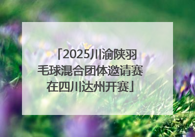 2025川渝陕羽毛球混合团体邀请赛在四川达州开赛