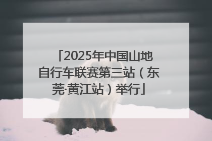 2025年中国山地自行车联赛第三站（东莞·黄江站）举行
